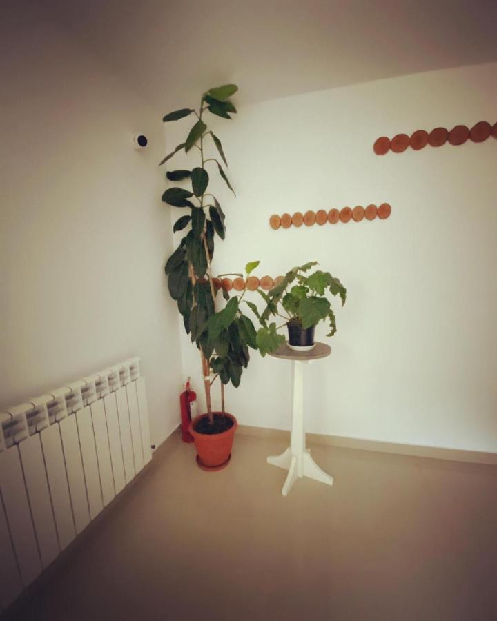 Maison Platanus Voineasa Esterno foto